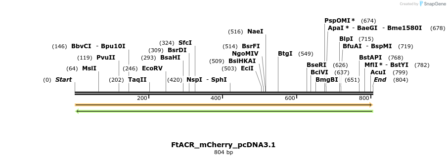 457445_map