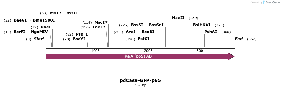 457491_map