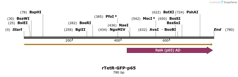 457503_map