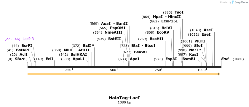 457520_map