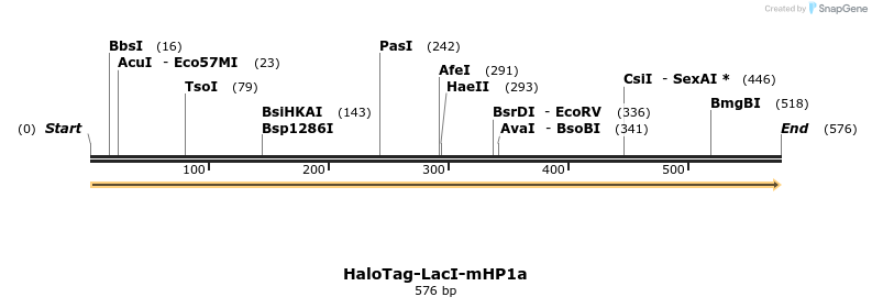 457525_map
