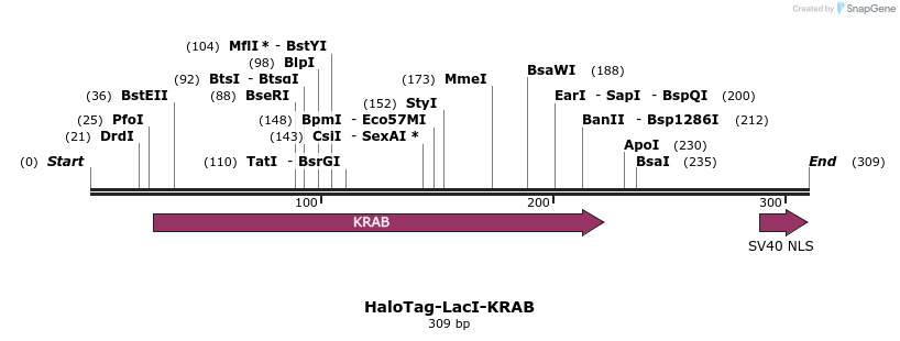 457529_map