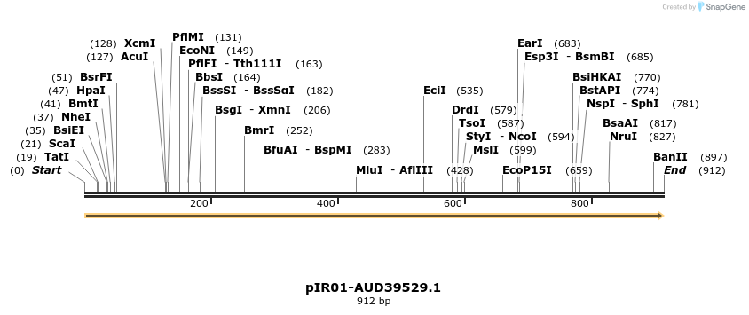 457567_map