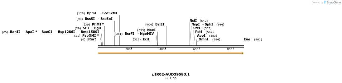 457569_map