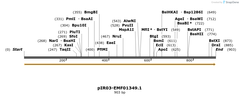 457571_map