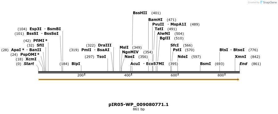 457575_map
