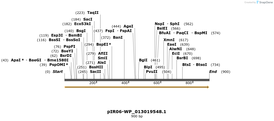 457577_map