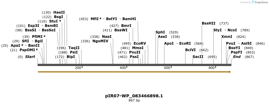 457579_map