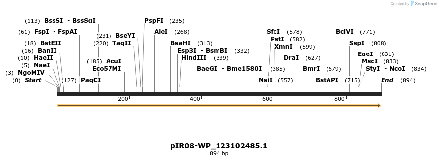 457581_map