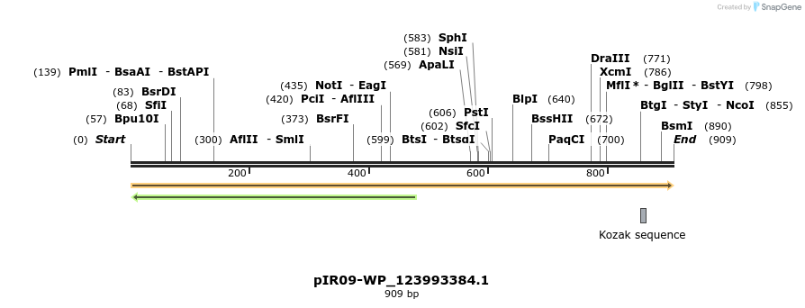 457583_map