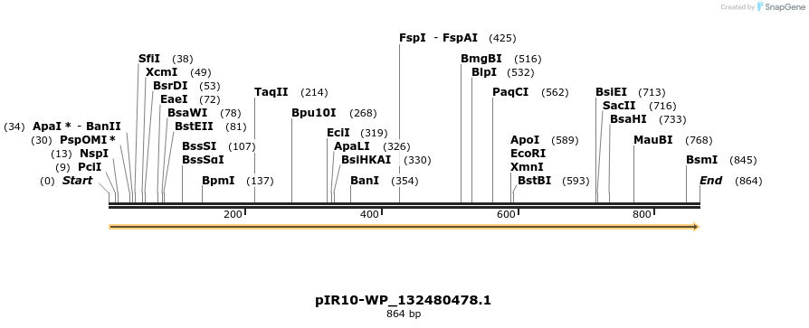 457585_map