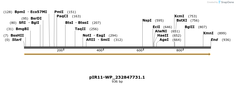 457587_map