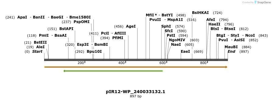 457589_map