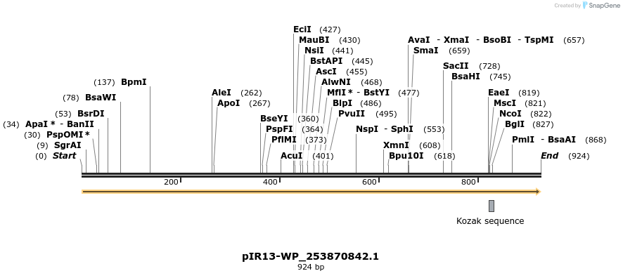 457591_map