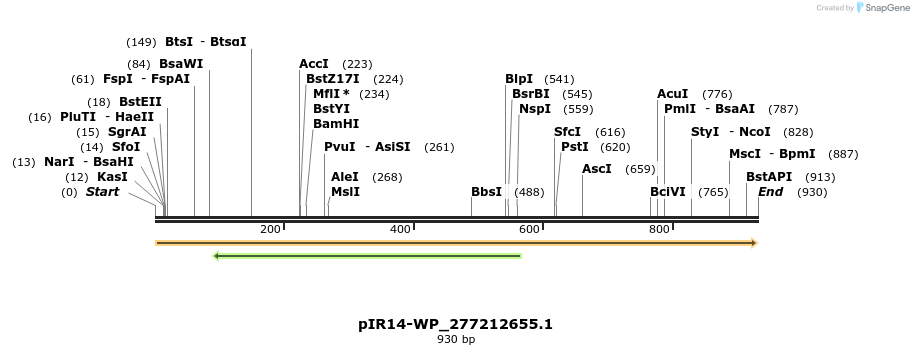 457593_map