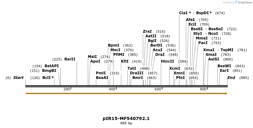 457595_map