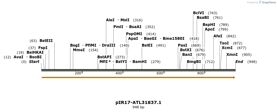 457599_map