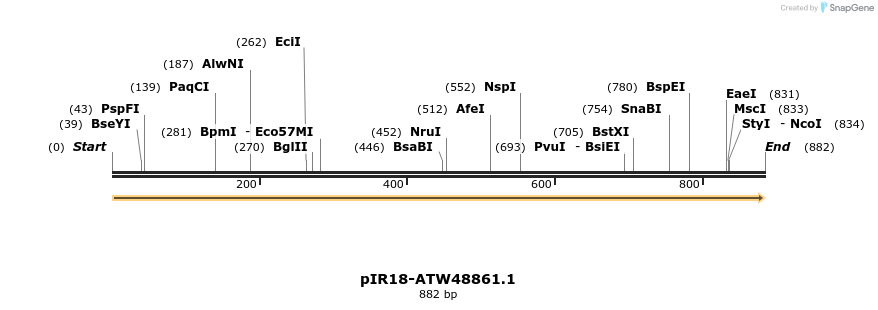 457601_map
