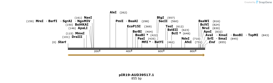 457603_map