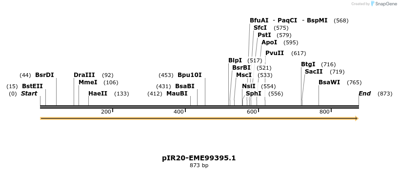 457605_map