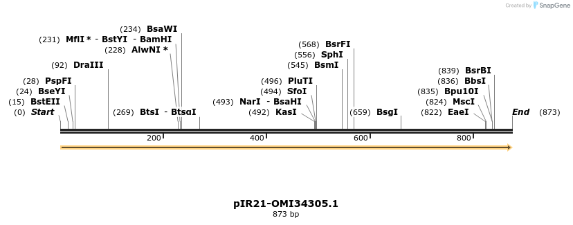 457607_map