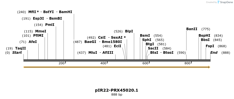 457609_map