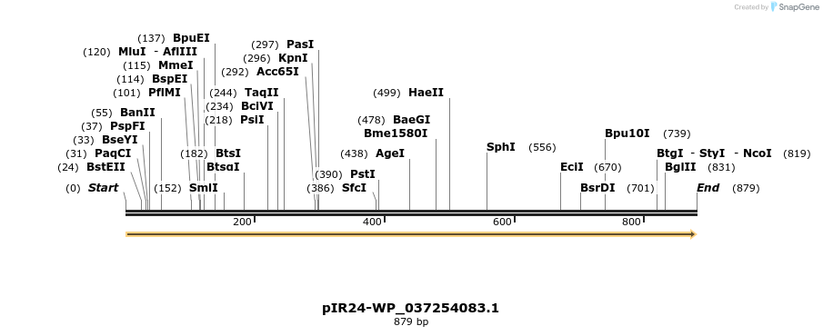 457613_map