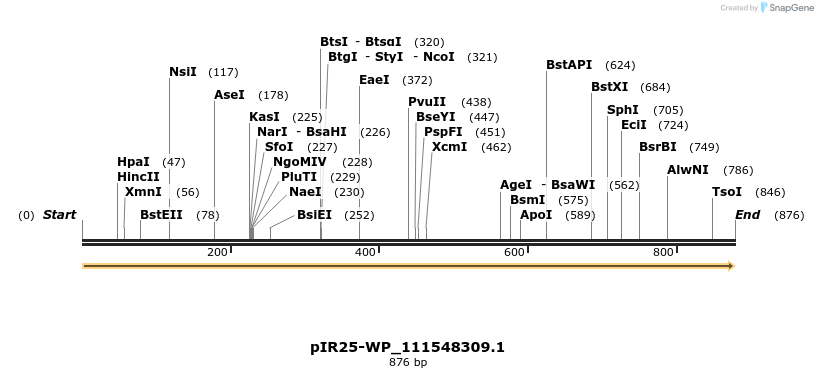 457615_map