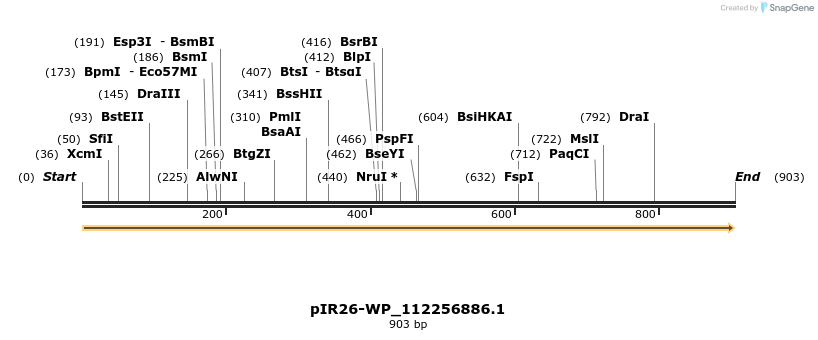 457617_map