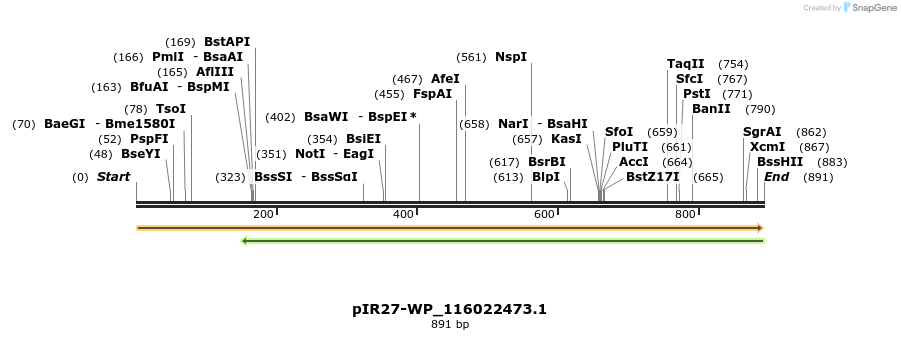 457619_map