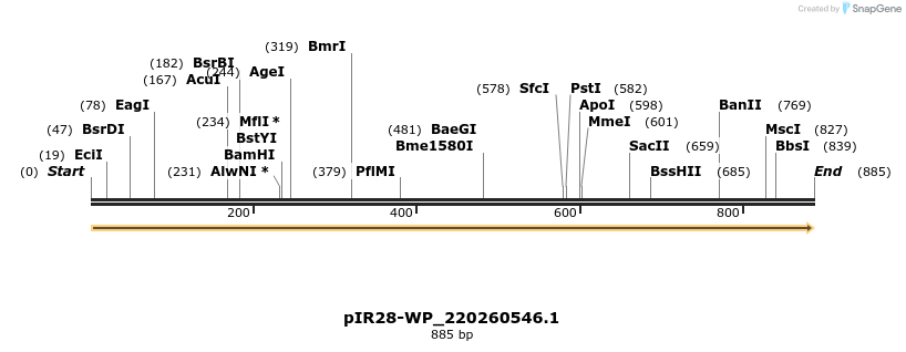 457621_map
