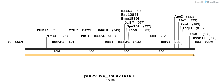 457623_map