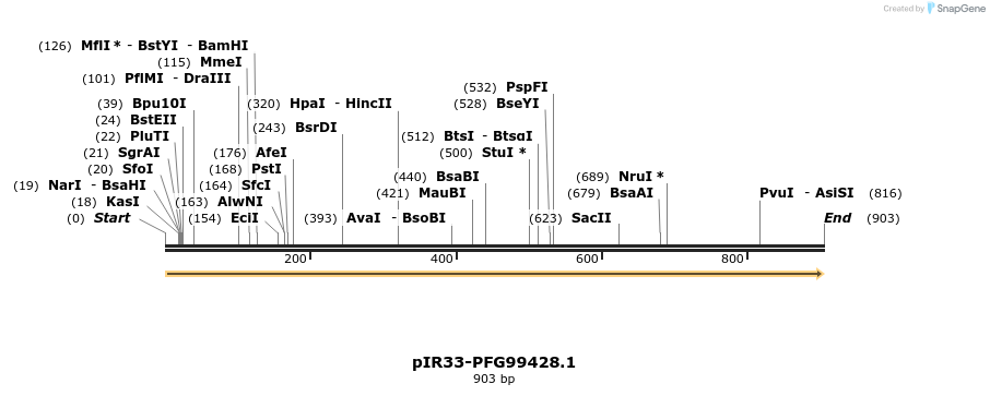 457631_map