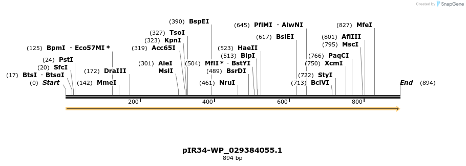 457633_map