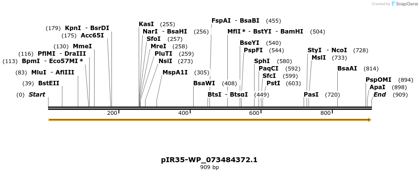 457635_map