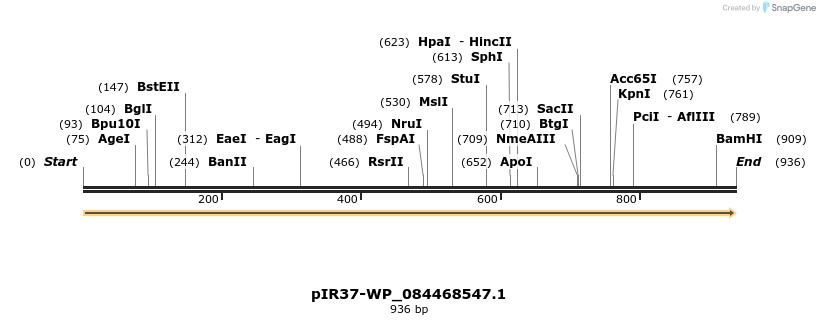 457639_map