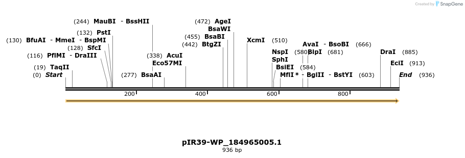 457643_map