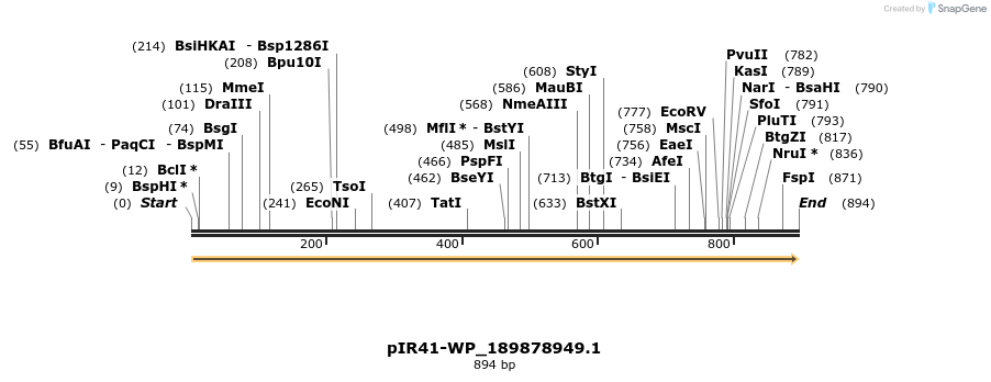 457647_map