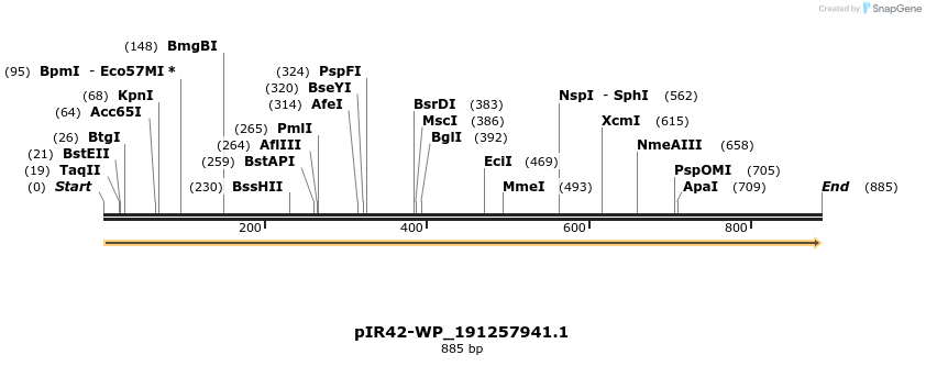 457649_map