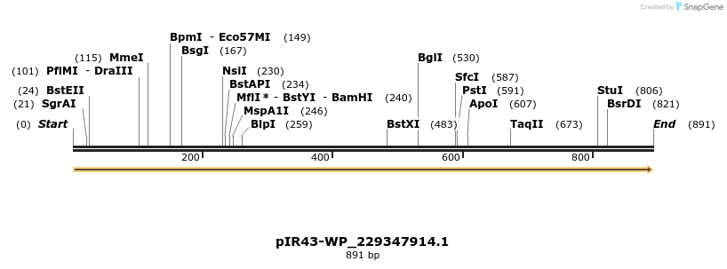 457651_map