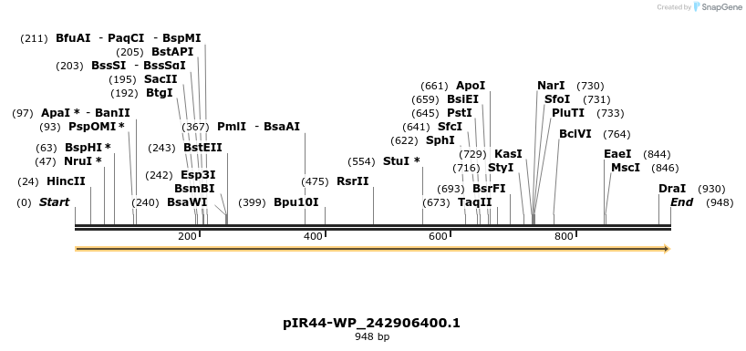 457653_map