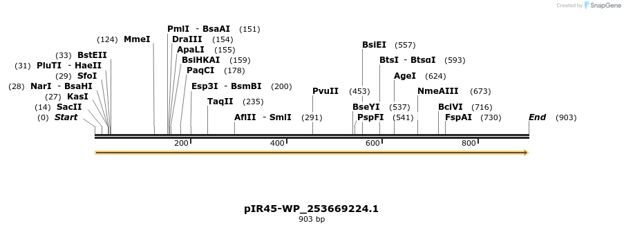 457655_map
