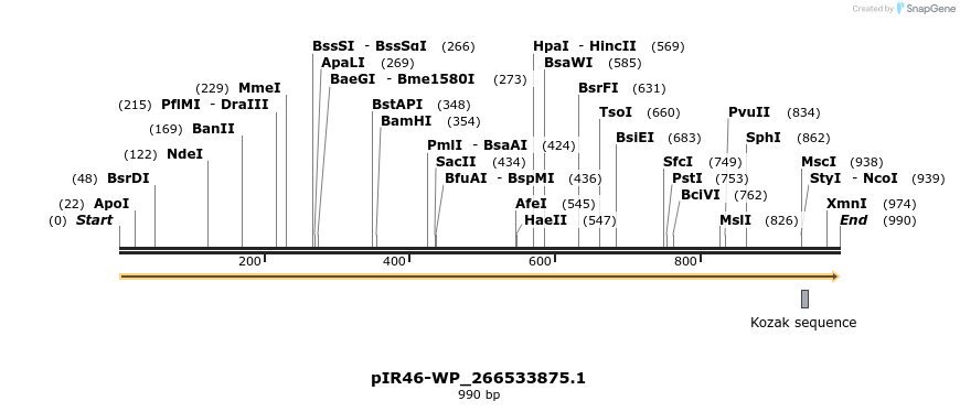 457657_map