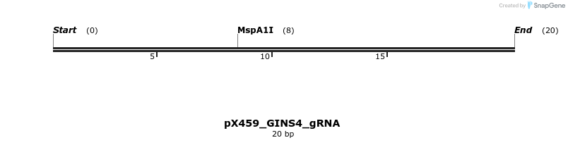 457702_map