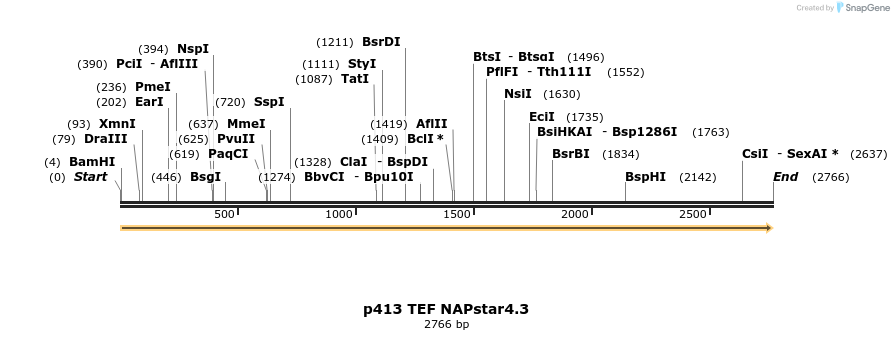 457716_map