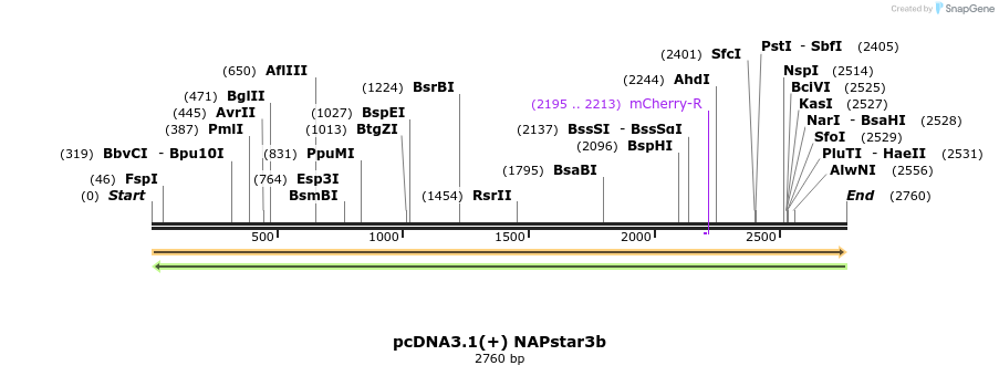 457735_map