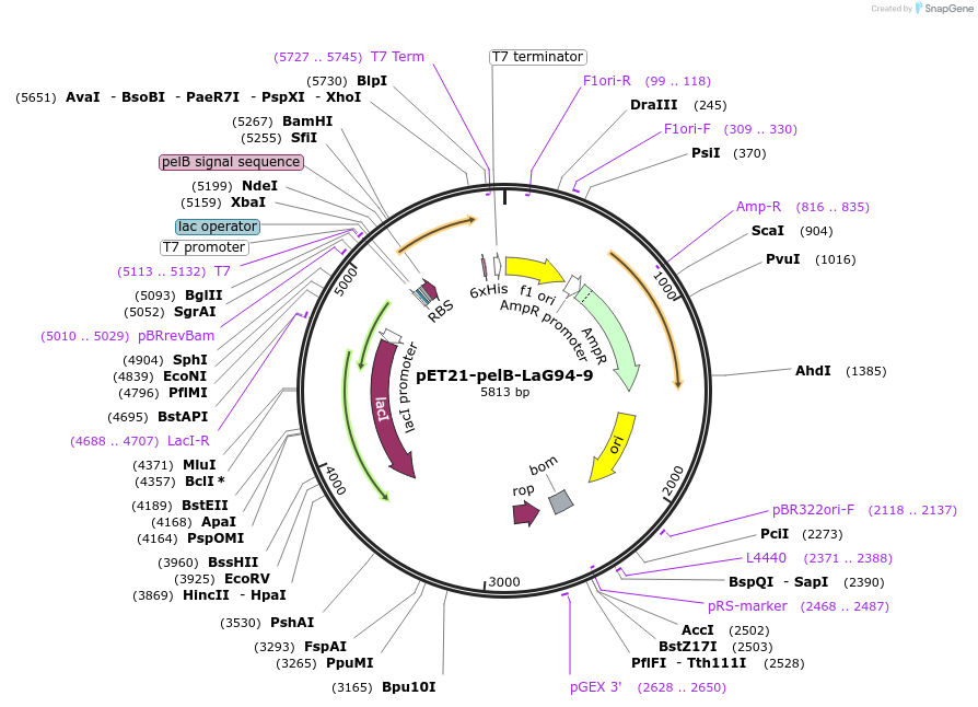 457950_map