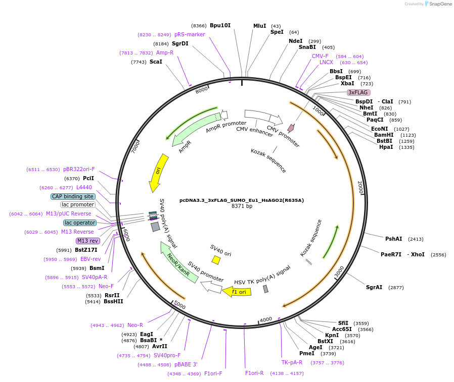 457958_map