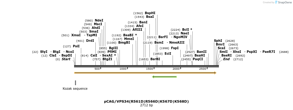 458039_map