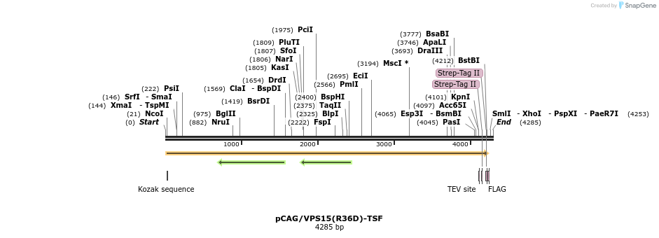 458043_map